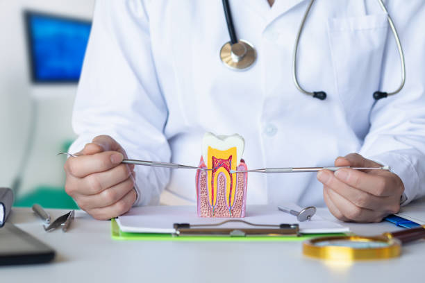 Best Broken or Chipped Tooth Repair in Garyville, LA